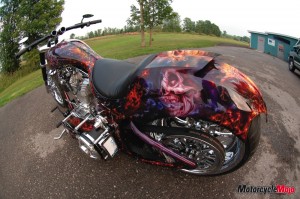Custom Fabricated Motorcycle with cool paint job